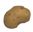 potato